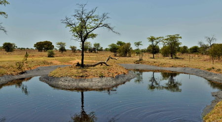Safari Plains, Warmbaths, South Africa