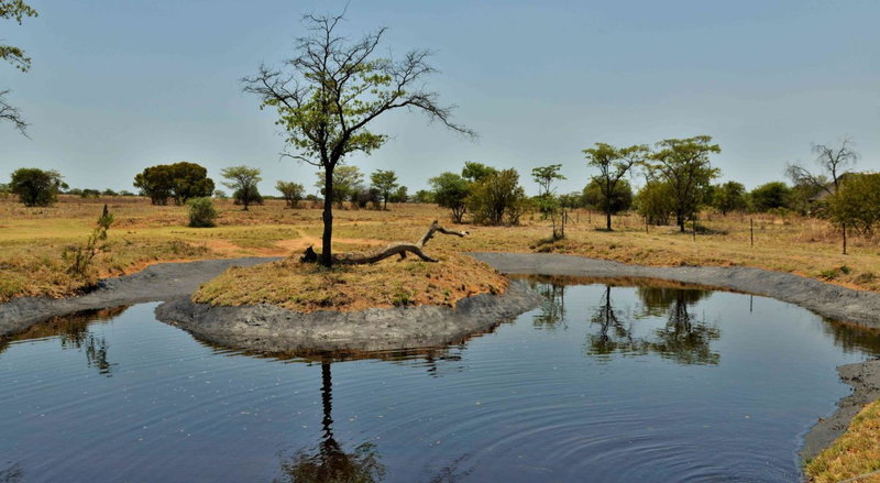 Safari Plains, Warmbaths, South Africa