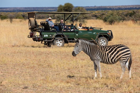 Safari Plains, Warmbaths, South Africa