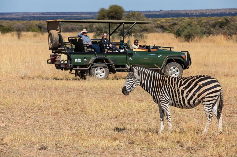 Safari Plains, Warmbaths, South Africa