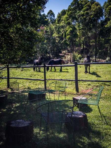 The Knoll Historic Guest Farm, Hilton, South Africa