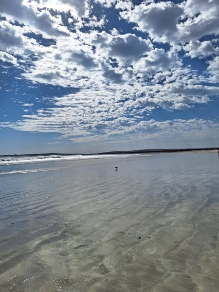 Blue Pearl, Paternoster, South Africa