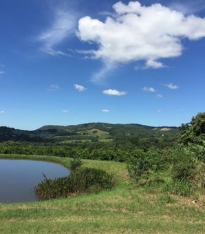 Masasana's Rest, Mbombela, South Africa