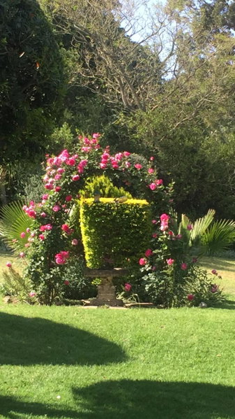 Leeuwenhof Guesthouse, Caledon, South Africa