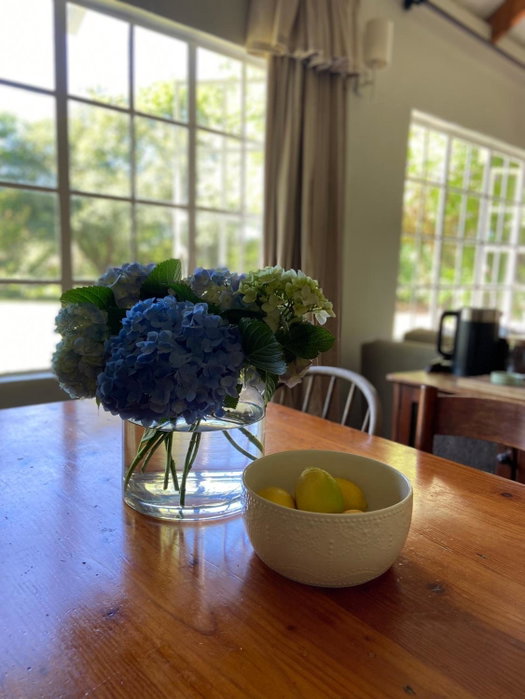 Yellowwoods Farm - POOL COTTAGE (self-catering), Curryʼs Post, South Africa
