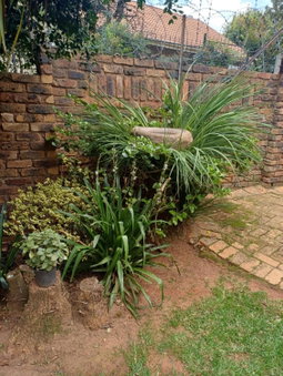 Green Scape Flatlet, Pretoria, South Africa