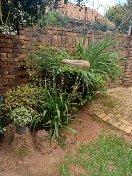 Green Scape Flatlet, Pretoria, South Africa