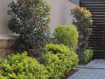 @ 21 Guest House, Pietermaritzburg, South Africa