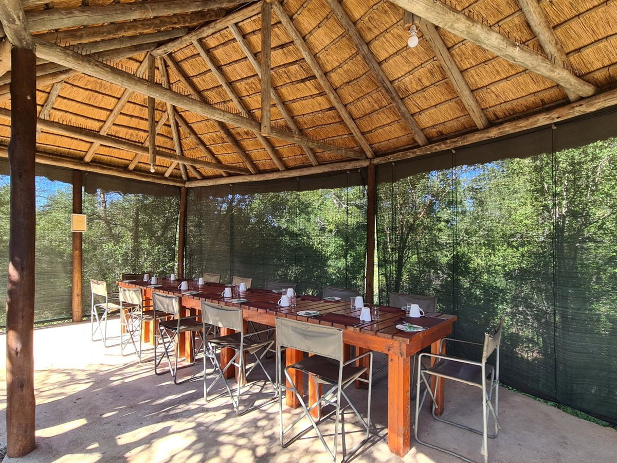 The Wild Olive Tree Camp, South Africa