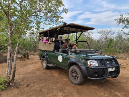 The Wild Olive Tree Camp, Hoedspruit, South Africa