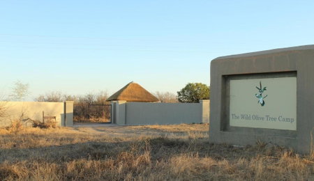 The Wild Olive Tree Camp, Hoedspruit, South Africa