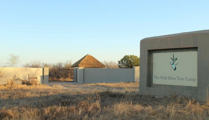 The Wild Olive Tree Camp, Hoedspruit, South Africa