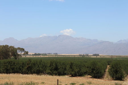 Rooikraal Farm Guesthouse and dam, Prince Alfred Hamlet, South Africa