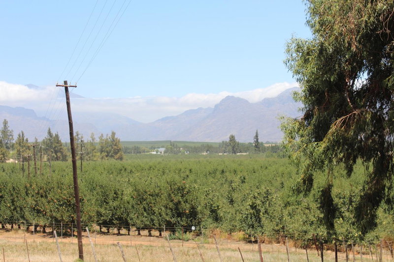 Rooikraal Farm Guesthouse and dam, Prince Alfred Hamlet, South Africa