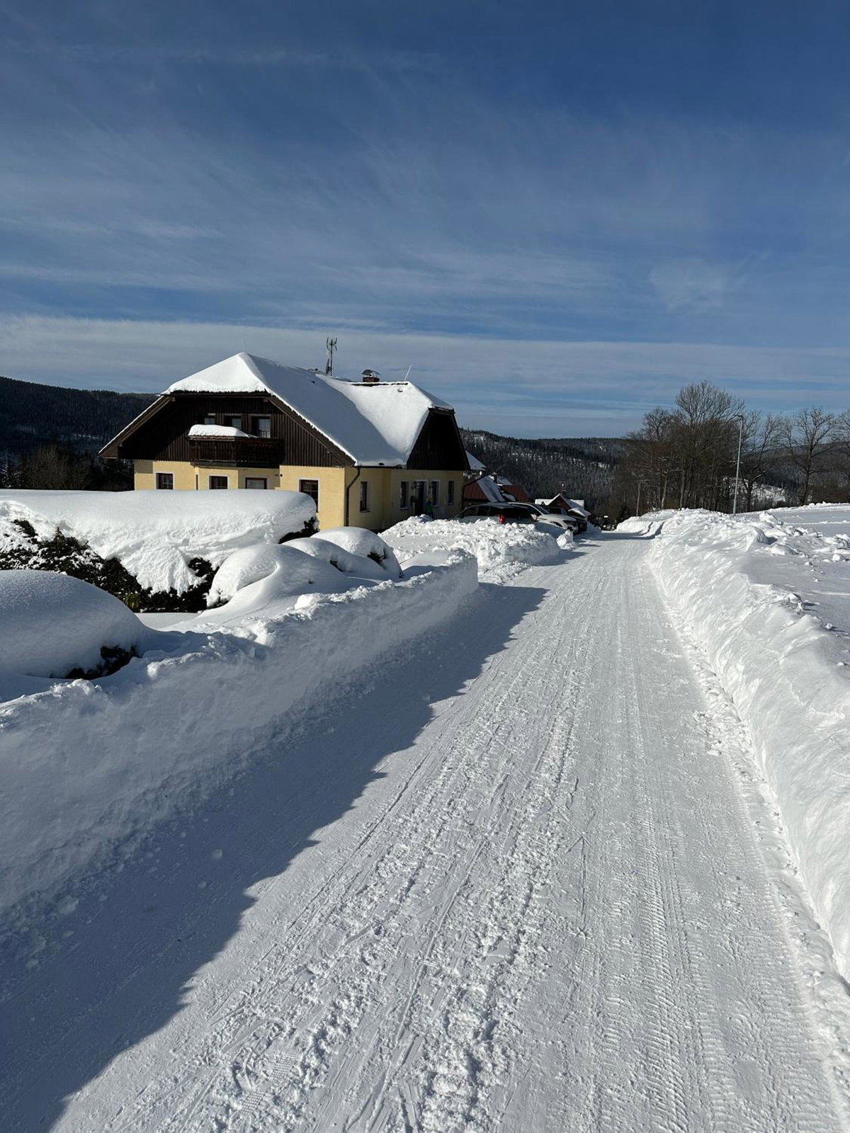 Hotel · Apartmany215, Strážné