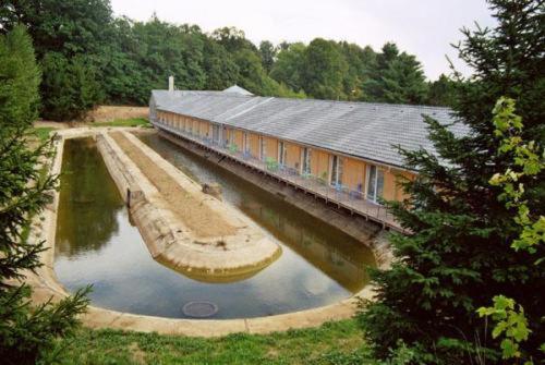 Motel Dacice, Dačice, Czechia