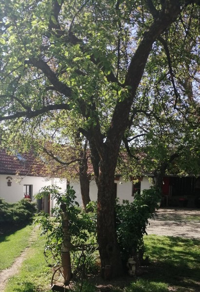 Keramický a výtvarný ateliér Konešín, Koněšín, Czechia