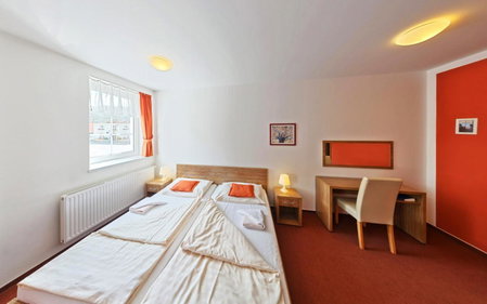 Wellness Hotel Hukvaldy POLOPENZE A WELLNESS V CENĚ, Příbor, Czechia