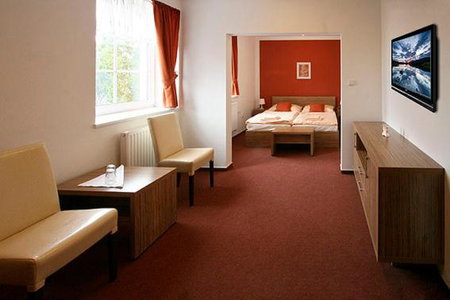 Wellness Hotel Hukvaldy POLOPENZE A WELLNESS V CENĚ, Příbor, Czechia