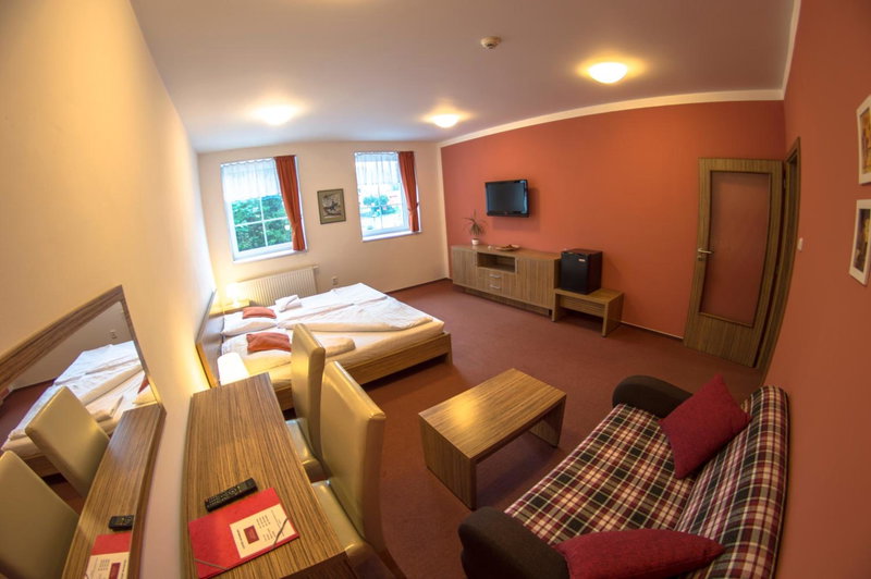 Wellness Hotel Hukvaldy POLOPENZE A WELLNESS V CENĚ, Příbor, Czechia