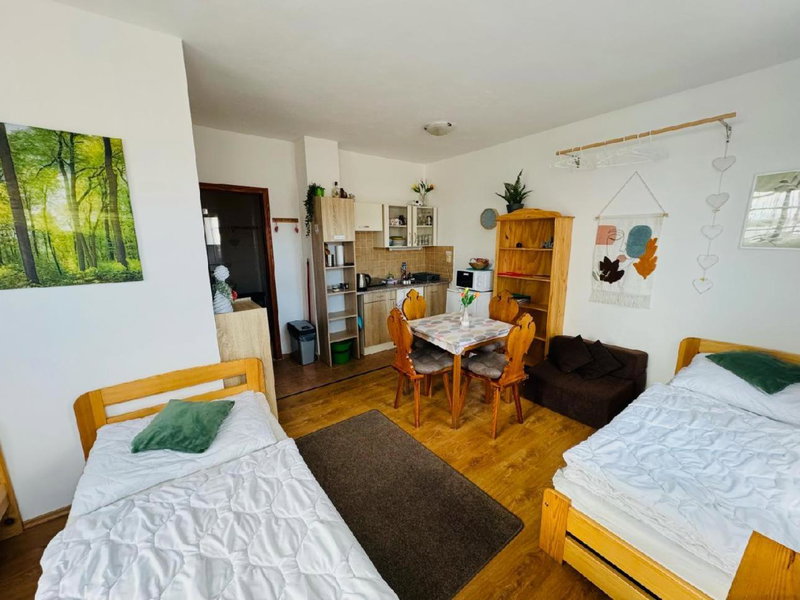 Apartmány Srub Jenišov, Horní Planá, Czechia