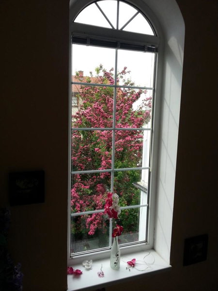 Homestay Kuchařovice, Kuchařovice, Czechia