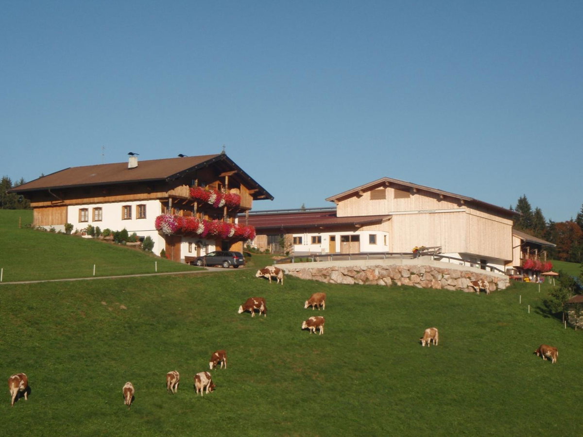 Hotel · Sonnenappartements Madlstatthof, Wildschönau