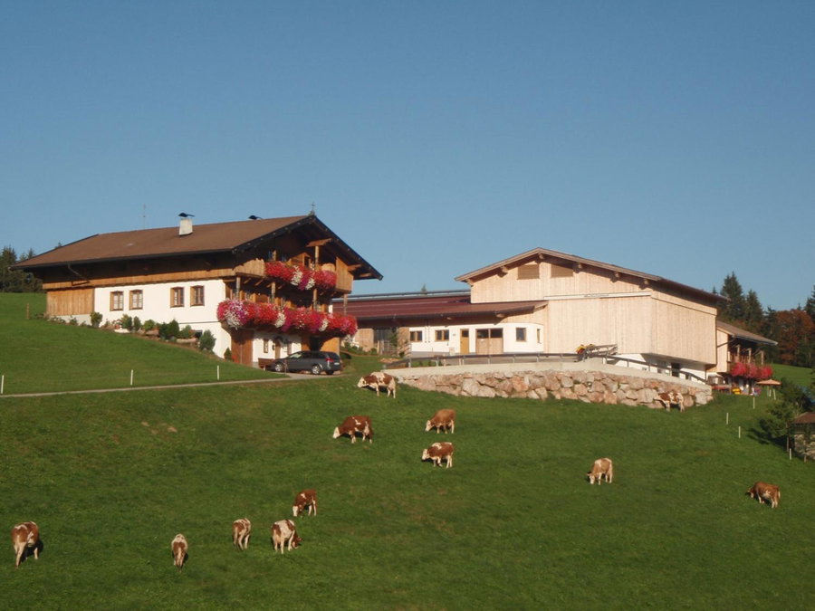 Sonnenappartements Madlstatthof, Wildschönau, Austria