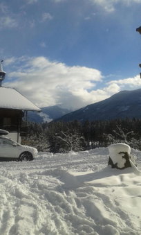 Apartment Bauernhof Thurnummerstall, Hollersbach im Pinzgau, Austria