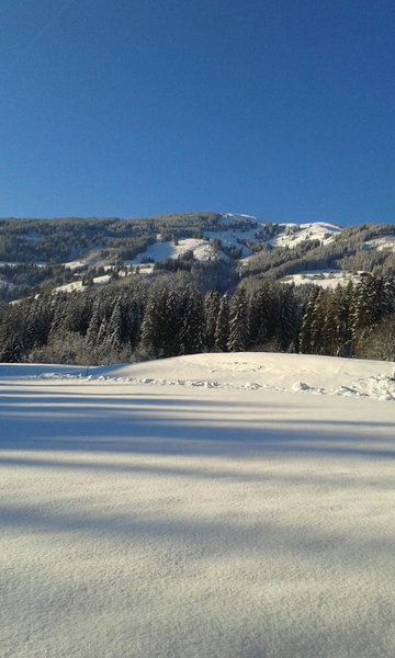 Apartment Bauernhof Thurnummerstall, Hollersbach im Pinzgau, Austria