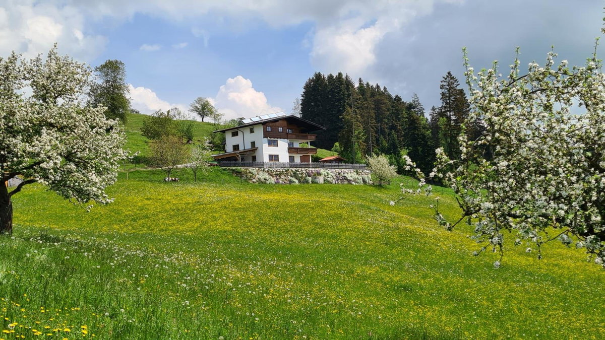 Hotel · Appartement Schwindelfrei, Niederndorferberg