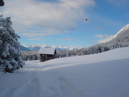 Ferienwohnungen Plattnerhof, Terfens, Austria
