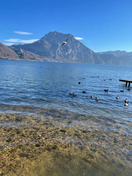 Bergglück - gemütliches Appartement am Traunsee, Altmünster, Austria