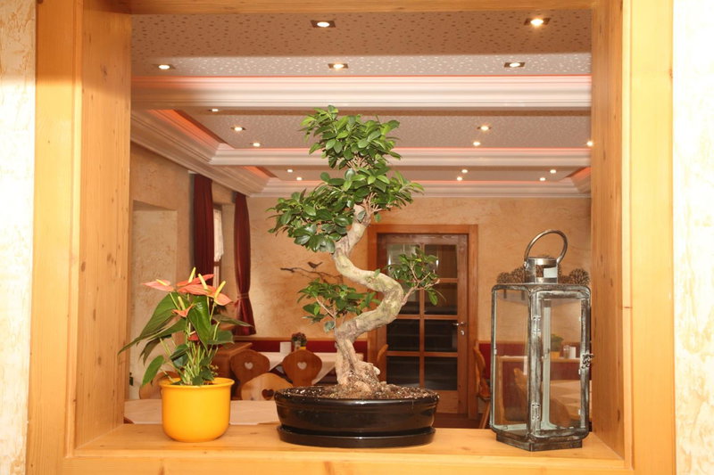 Golf & Skipension Krug, Haus im Ennstal, Austria