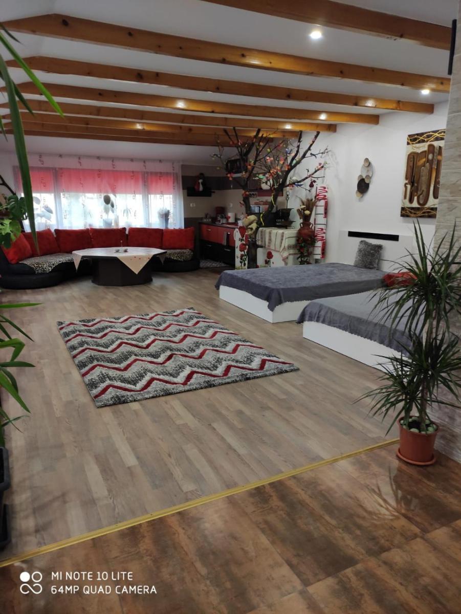 Studio Madi - Close to beach, Romania