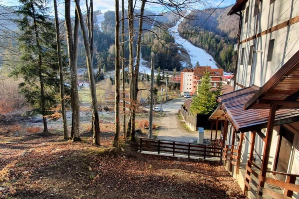 Sorica Studio - near the ski slopes, Romania