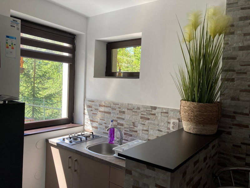 Sorica Studio - near the ski slopes, Azuga, Romania