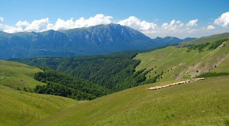 Family House, Buşteni, Romania