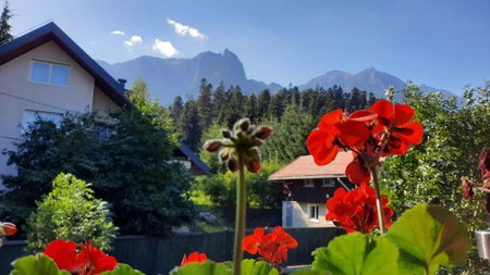 Family House, Buşteni, Romania