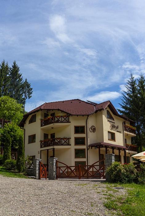Pensiunea Görgő Panzió, Romania