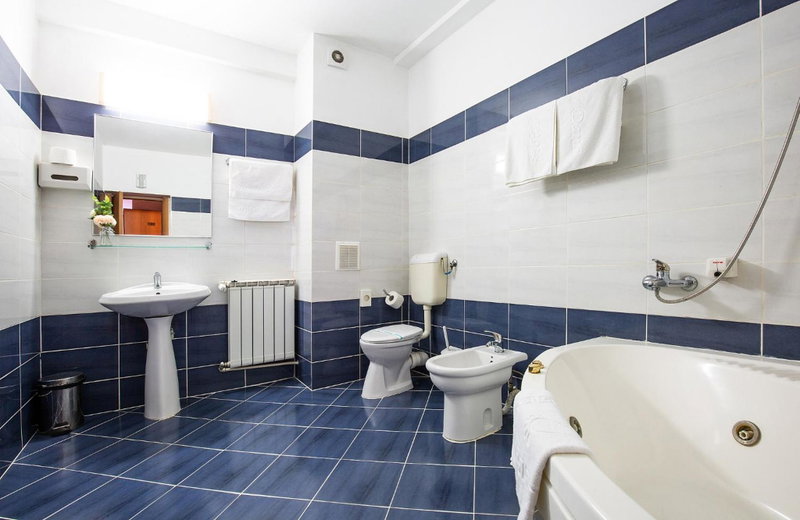 Hotel Dana, Satu Mare, Romania