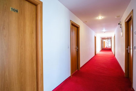 Hotel Dana, Satu Mare, Romania
