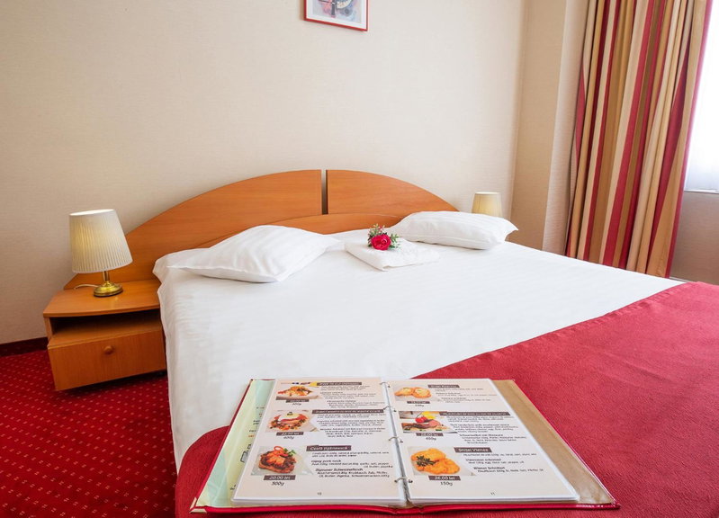 Hotel Dana, Satu Mare, Romania