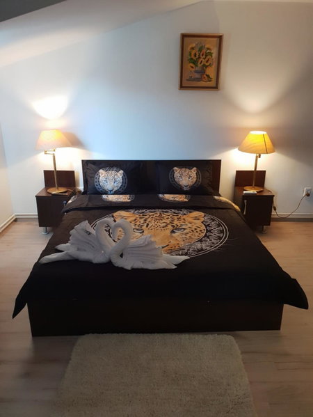 Casa Lions, Timişoara, Romania