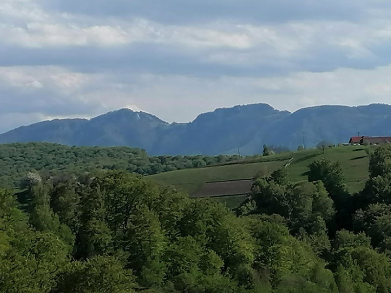 Conacul Elenei, Poiana Mărului, Romania