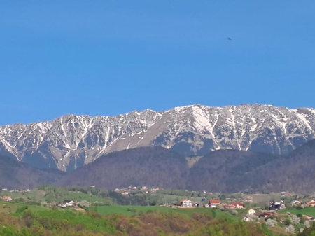 Conacul Elenei, Poiana Mărului, Romania
