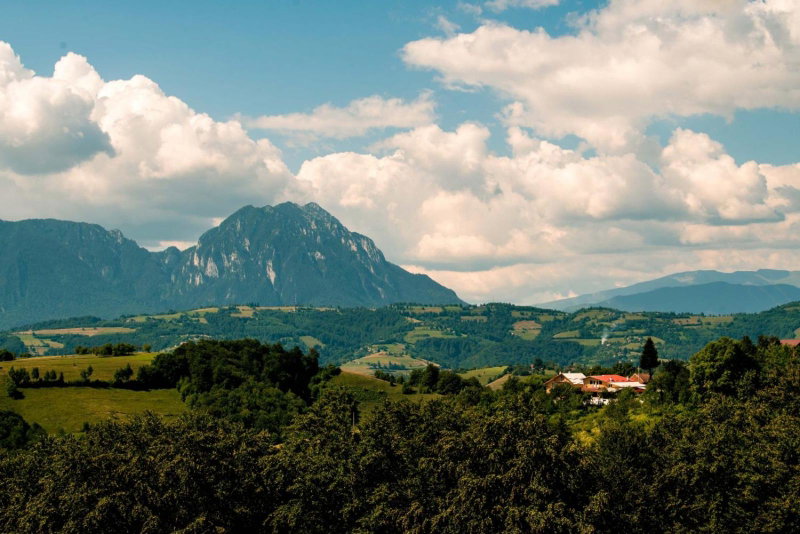 Conacul Elenei, Poiana Mărului, Romania