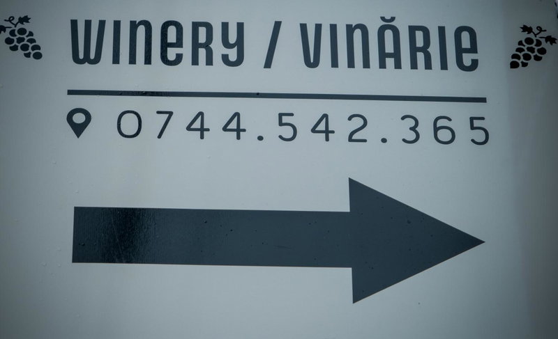 PENSIUNEA ILEANA "Adults Only", Orlat, Romania