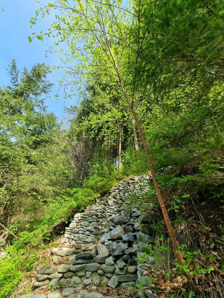 Căbănuța Cocoțată, Rucăr, Romania