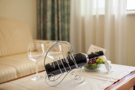 Hotel Bacchus, Baska Voda, Croatia